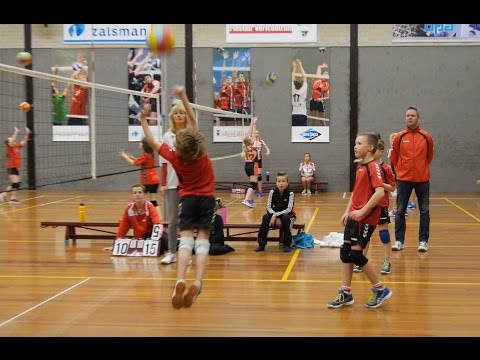Cool Moves Volleybal Reflex Kampen