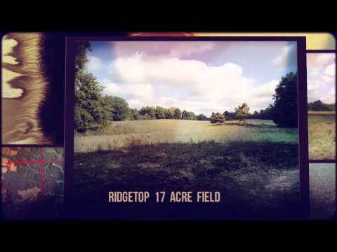 Archive 68 Video thumbnail