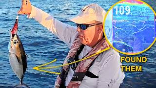 Solo Offshore Fishing: Reading the Fish Finder for Tuna