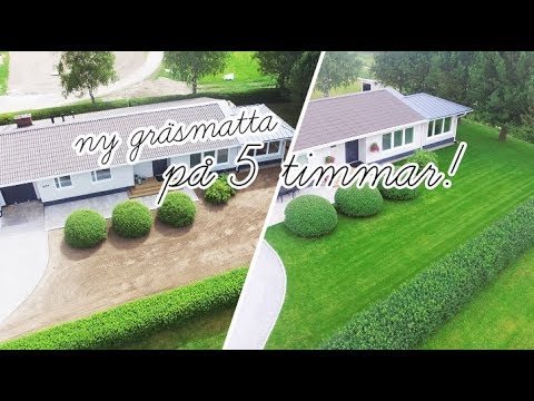 Ny gräsmatta på 5 timmar | Oravais Turf