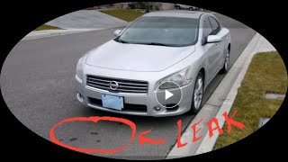 How to: finding power steering leak (high pressure hose)//2010 Nissan Maxima