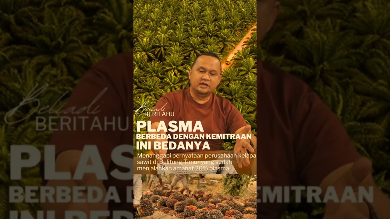 CATAT!  INI BEDA PLASMA DAN KEMITRAAN PERKEBUNAN KELAPA SAWIT #beliadi #gerindra