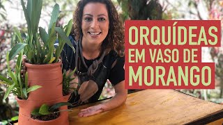 Miniatura do vídeo