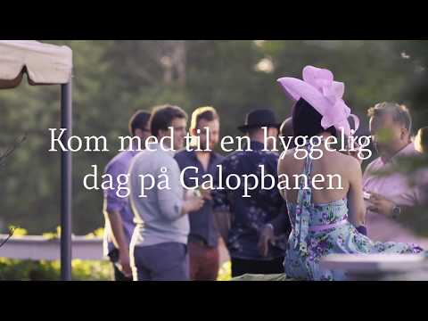 Fredagsløb på Galopbanen