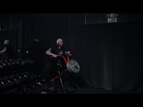 Spring Bulk Arc: Day 142 | Back & Biceps 240.3lb