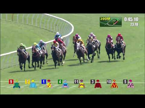 11/4/2021 (578) Gluck Racer- A Badel