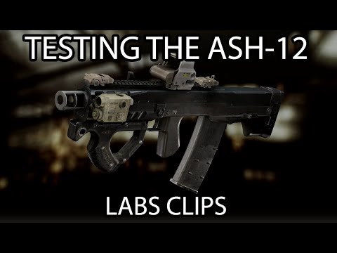 ASH 12 ON LABS IS CRAZY (Escape From Tarkov)