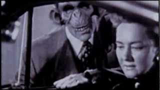 HOINFODAMAN primus version 1