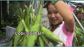 Download lagu lagu kadazandusun Stephanus Sipan Kota Marudu mp3