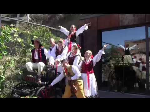 Jedliniok w Gruzji 2019