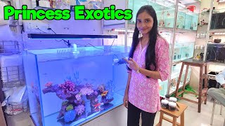 Aquarium Fish Stock at Princess Exotics