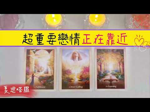 免費占卜感情