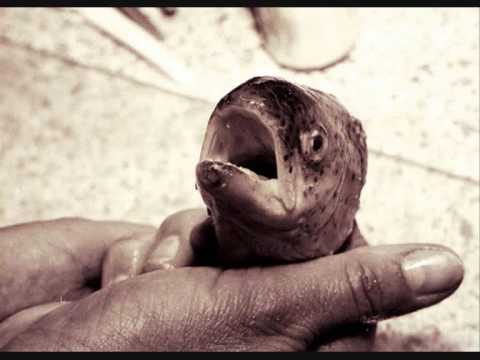 About feelings-Makulatuur