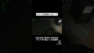 はじめてのてとりす#escapefromtarkov #タルコフ #実況