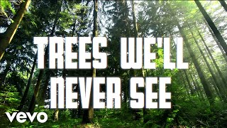 Amy Grant - Trees We&#39;ll Never See (Lyric Video)