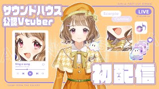 [Vtub] 小箱or個人Vtuber 0420 DD串