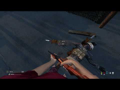 Killing the coastal camper  DayZ #shorts