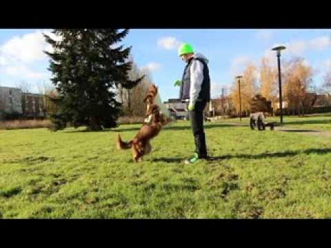 1er Essai Twixtor sur After Effects CS5