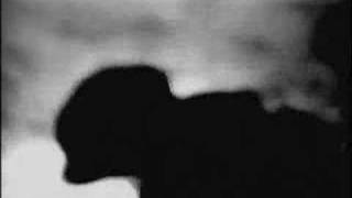 Ordinary Mind - Soul Circuit