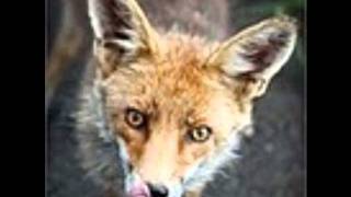 Nat King Cole Magnificent Obsession