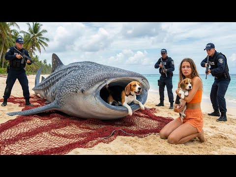 Heroic Rescue Team Saves Mother Dog from Giant Shark attack 🦈🐕 | Emotional Animal rescues