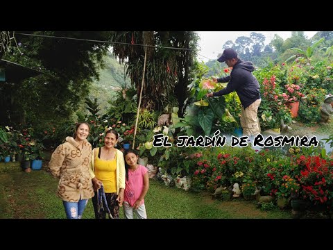 El jardín de Rosmira Acompañame a este recorrido con miles de flores /PRADERA VALLE, COLOMBIA.