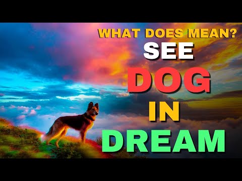 Dog Dream Meaning & Interpretation | What Does It Mean to Dream of a Dog?