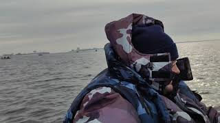 Ссылка