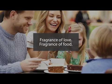 Introduction to Wish Gourmet Online Food Marketplace