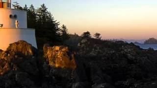 mulberry vuitton - I'm a star