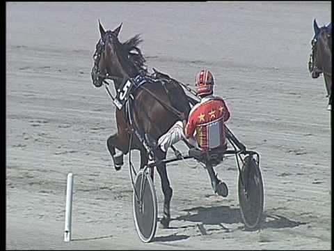 Trotto 04/06/2016 - 3° corsa