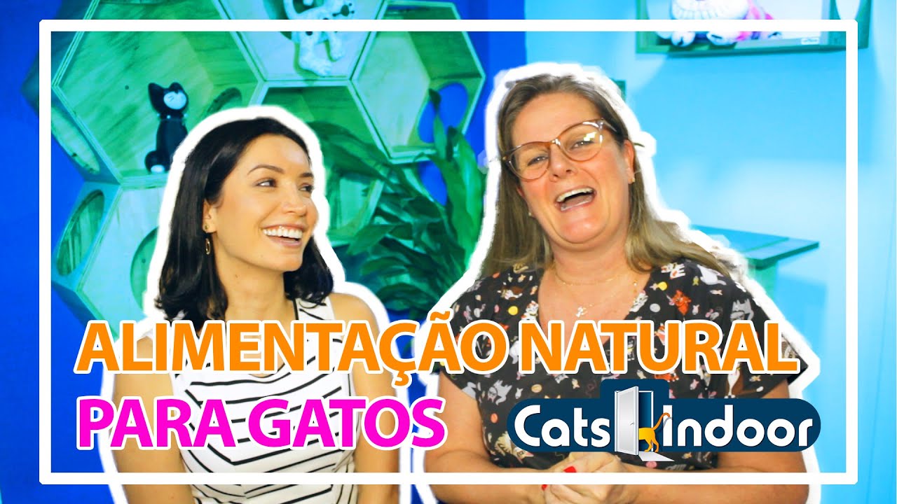 ALIMENTAÇÃO NATURAL PARA GATOS!