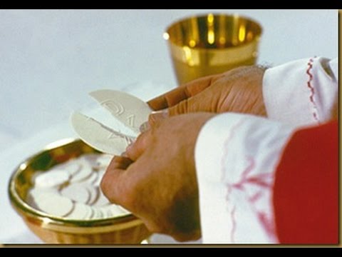 Santa Misa: jueves 15 de enero de 2015