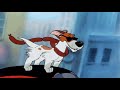 Wooly Bully Slowed Sam The Sham And The Pharaohs