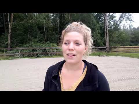 How I Built an Outdoor Arena - On a  Budget!