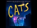 Cats: Overture (Extended)