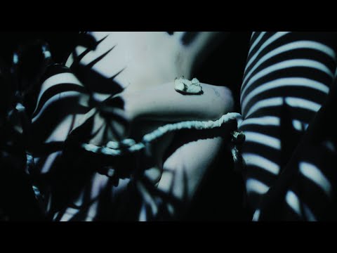 Eclecta -  Pleasure & Pain [Teaser]