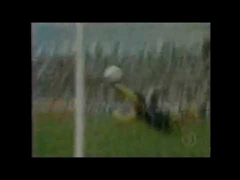 Gama 1 x 1 Cruzeiro - Campeonato Brasileiro 2001