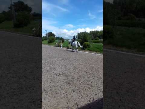 wish alisa 13 6 005 LHPC