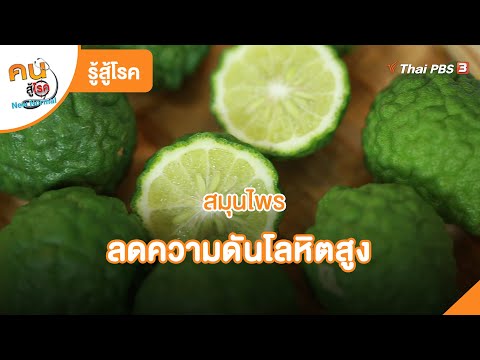 สมุนไพรลดความดันโลหิตสูง