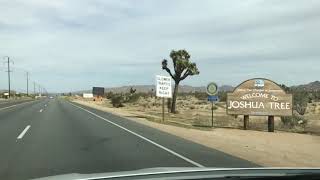Joshua Tree with the kids 4/1/2018