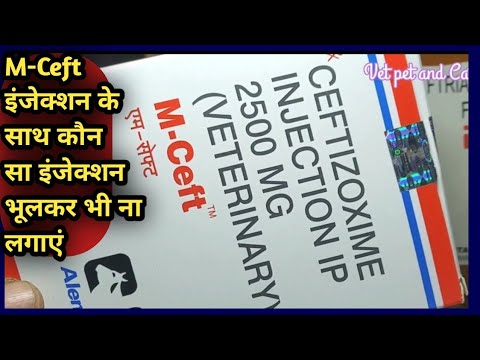 3000mg ceftizoxime injection