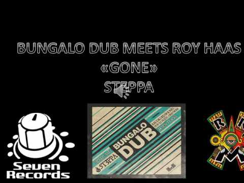 "Gone" Bungalo Dub meets Roy Haas