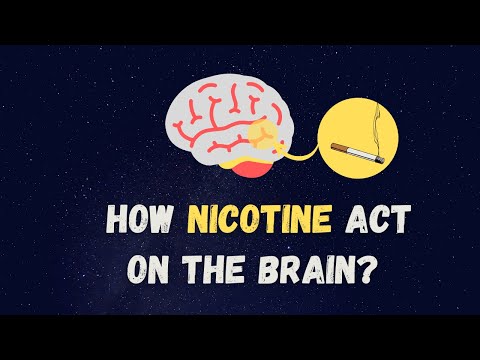 How Nicotine act on Our Brain (3D)