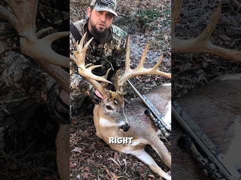 The stupidest hunter in the state | The Hollywood Buck