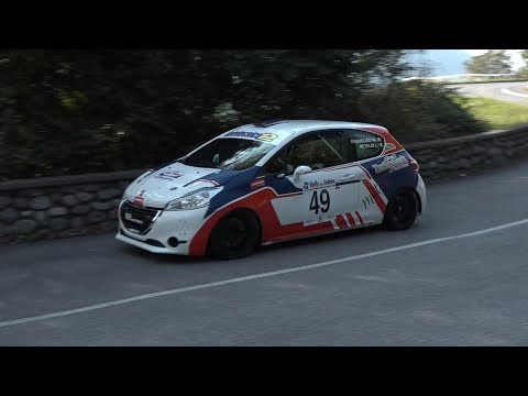 8° Rally del Sebino 2019 Fradelizio - Metaldi by Ferrario