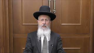 הגאון הרב אברהם יוסף שליט"א מה הדין בפירות שנשרו מהאילן או ביצה שנולד ביום טוב (הערוץ של הרב אברהם יוסף) - התמונה מוצגת ישירות מתוך אתר האינטרנט יוטיוב. זכויות היוצרים בתמונה שייכות ליוצרה. קישור קרדיט למקור התוכן נמצא בתוך דף הסרטון