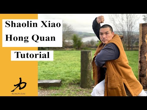 Shaolin Xiao Hong Quan Tutorial and Applications- Small Flood Fist 小洪拳