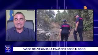rogo nel parco del vesuvio un piano per la rinascita