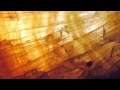 Oren Ambarchi - A Final Kiss On Poisoned Cheeks